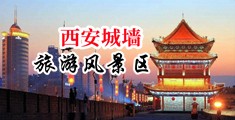 黑鬼逼逼中国陕西-西安城墙旅游风景区