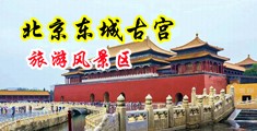 美女的小骚逼里面被大鸡巴抽戳中国北京-东城古宫旅游风景区